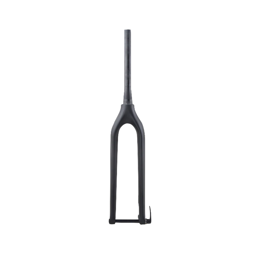 Carbon 1/1S Vorderradgabel