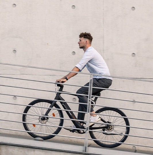 Which e-bike is the Climbing Master?