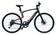 Leasing Urtopia Carbon 1/1s
