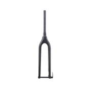 Carbon 1/1S Front fork