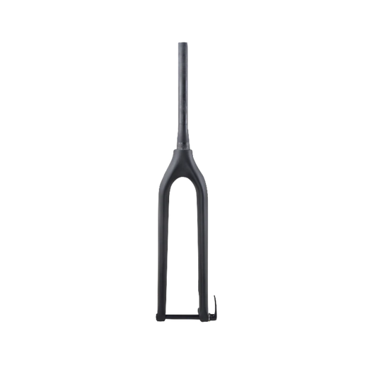 Carbon 1/1S Front fork